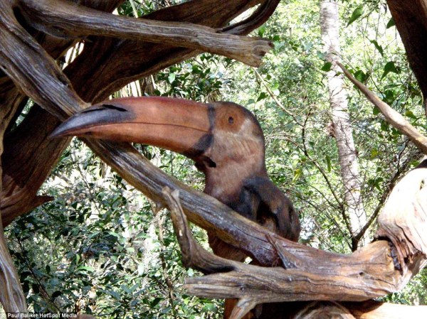 漂流木雕塑《只是时间问题》