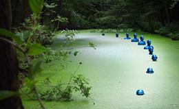 水涨人没：承载环境之殇的蓝色雕塑