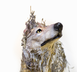 这不是虚幻，而是真正的雕塑