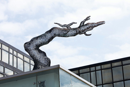 铜铸的树木：纪念那些消失的森林！