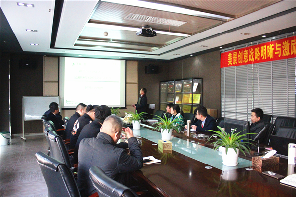 【美景·新闻】关于提报《愿景规划与战略明晰》报告会