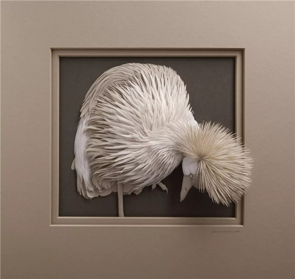 雕刻家Calvin Nicholls——栩栩如生的纸雕作品欣赏